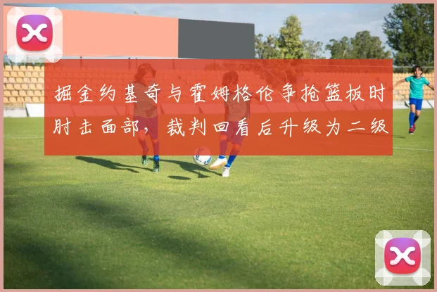 掘金约基奇与霍姆格伦争抢篮板时肘击面部，裁判回看后升级为二级恶意