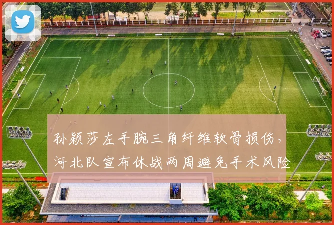 孙颖莎左手腕三角纤维软骨损伤,河北队宣布休战两周避免手术风险
